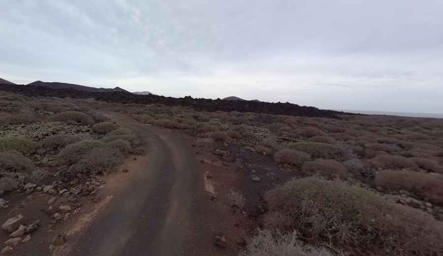 Why is Playa del Paso on the Canary Islands famous?